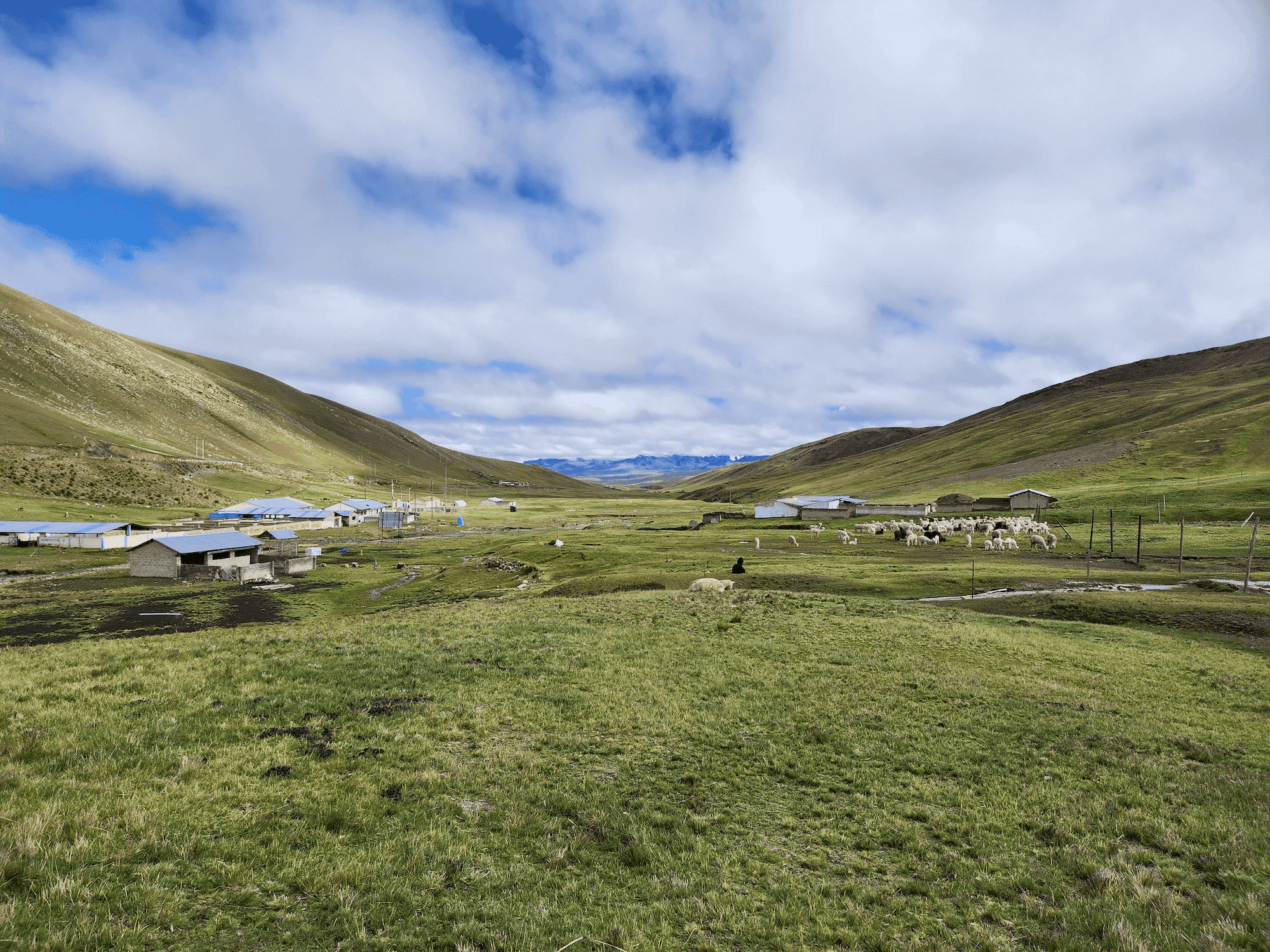 Una descripción de mi imagen.